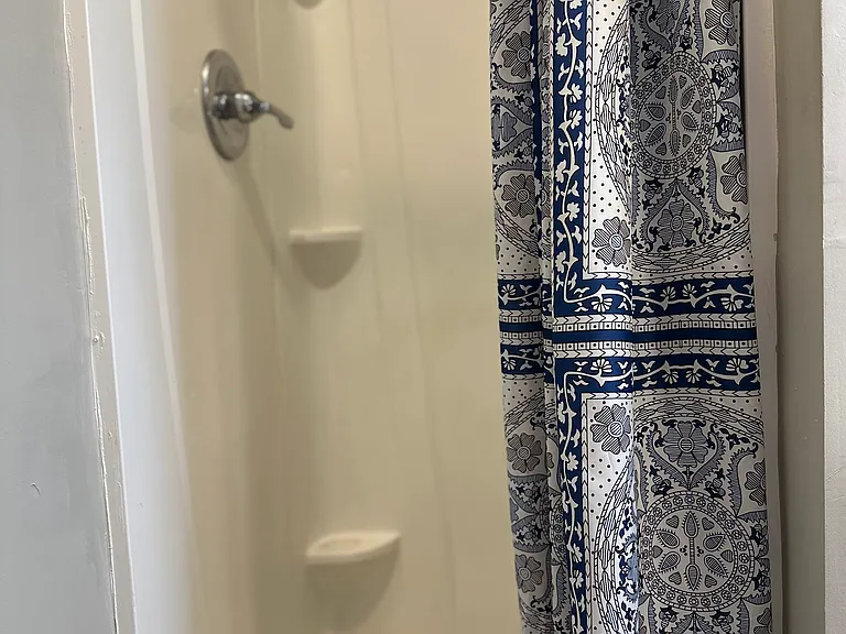 Shower # 1