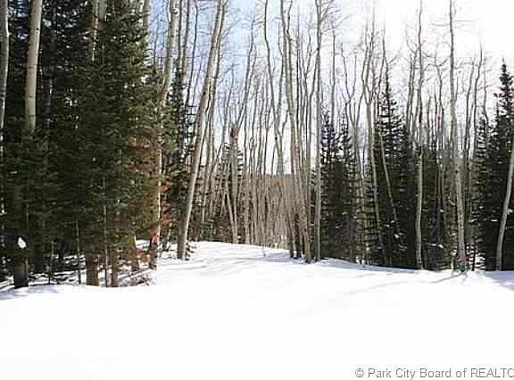 5th image of White Pine Ct