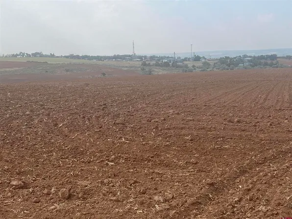 15755 Road BB, Pleasant View, CO 81335