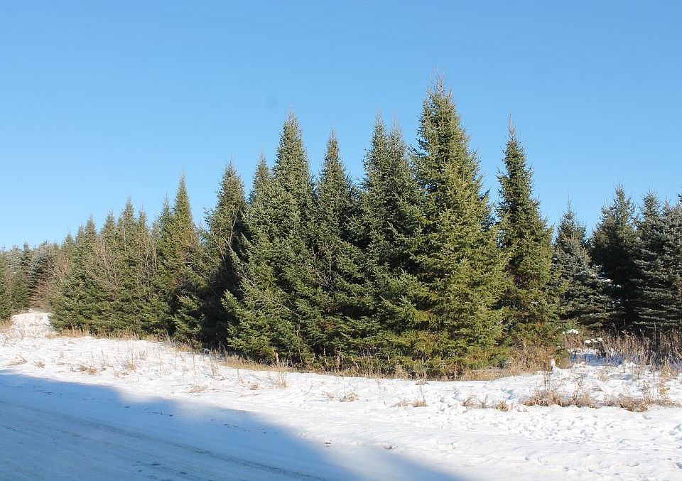 2nd image of LOT 7 26 1/4 St