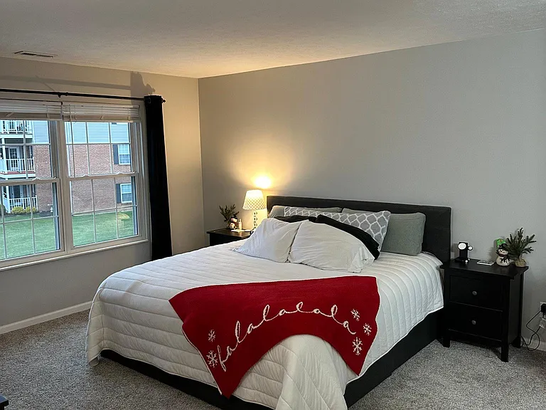 6587 Chesapeake Run — Photo 18
