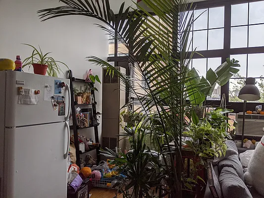 Rented by Carnegie Management Inc | media 5