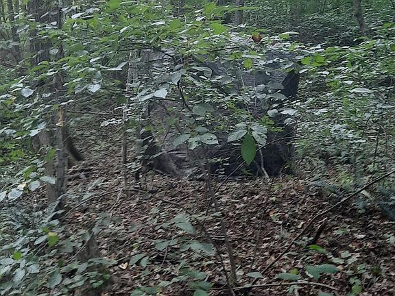 5th image of 0 Auerville Rd