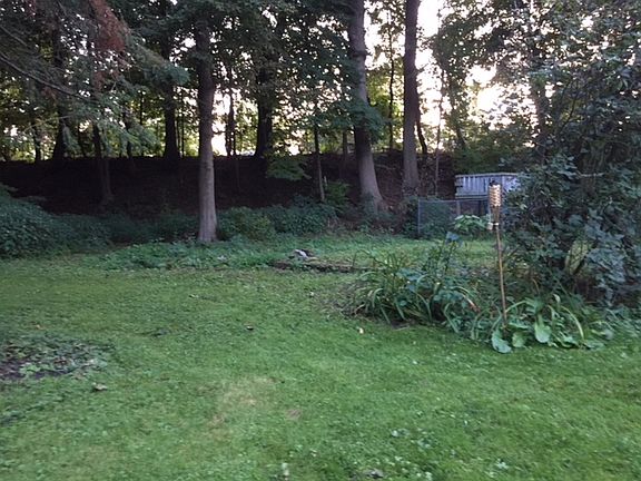Back portion of the yard