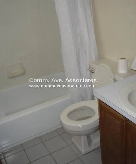 245 Main St #31 — Photo 5