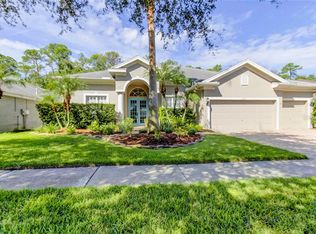 10709 Tavistock Dr, Tampa, FL 33626