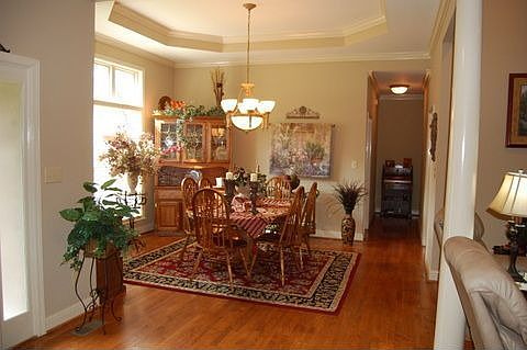 Sunny dining room with trey ceiling.