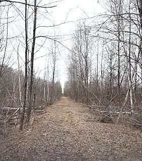 4th image of 450th St