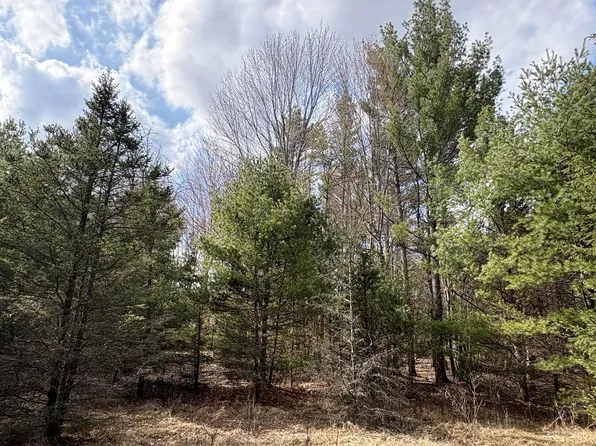 10 Acres STATE HIGHWAY 13, Nekoosa, WI 54457