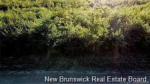 2nd image of 6 Tay Falls Rd