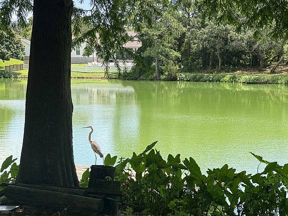 5th image of 504 Main St