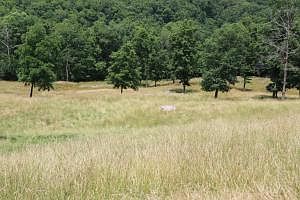 2nd image of 579 County Road 9570