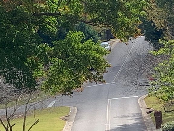 5th image of 701 Kendall Dr