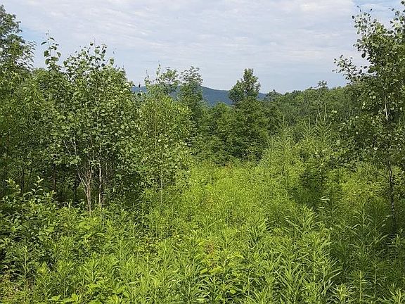 3rd image of 324 Crane Hill Road