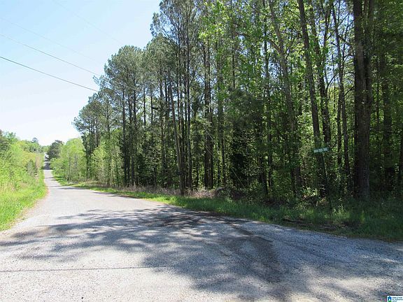 3rd image of LOT 2 Indian Creek Trl #0