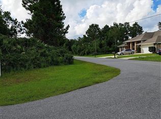 14 Buffalo Grove Dr, Palm Coast, FL 32137