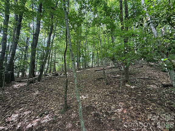 5th image of 0 Hardwood Summit Dr #191