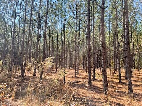 5th image of 0 Mills Austin Rd Tract 85