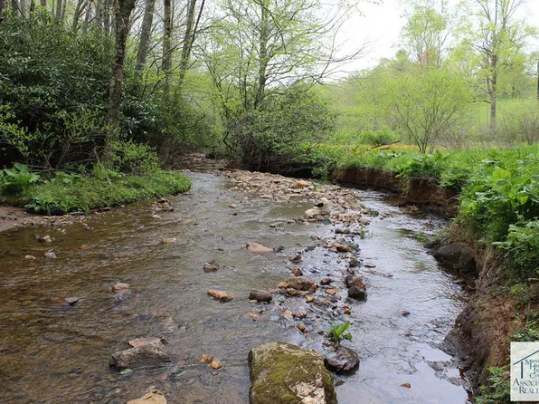 0 Danville Pike, Laurel Fork, VA 24352