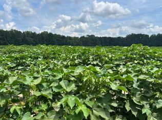 1227 Boise Lewis Rd, Manning, SC 29153