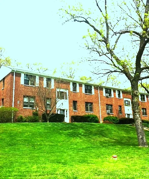 Cooper Dr — Photo 1
