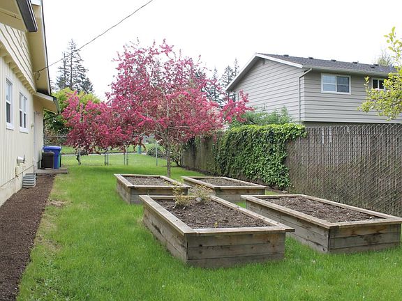 Side Garden