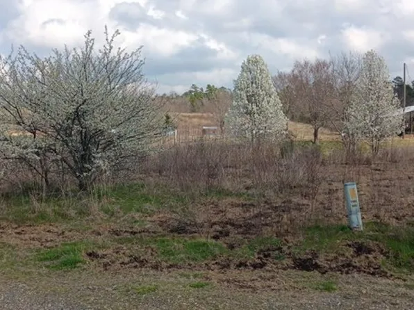 1525 Whitetown Rd, Oden, AR 71961