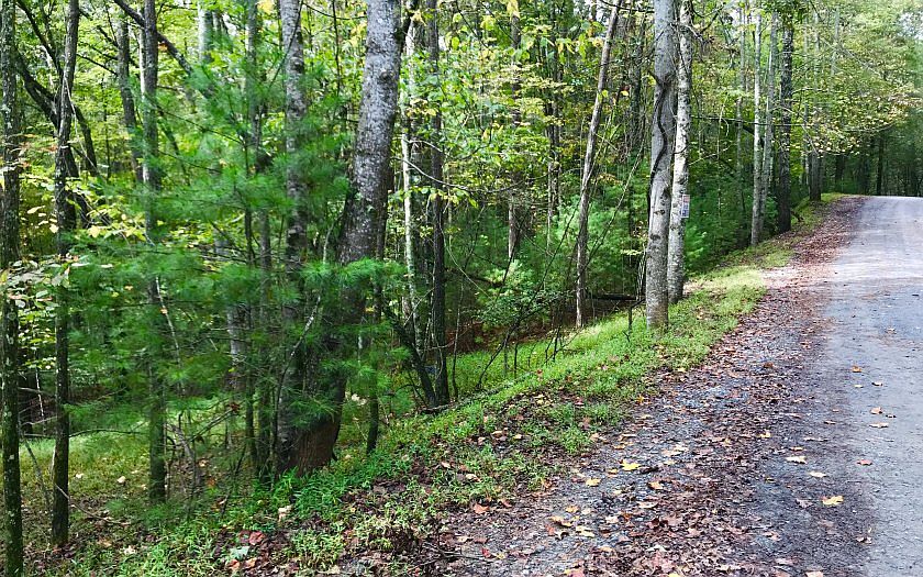 1st image of Hillsdale Dr
