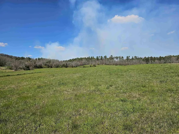 88 Highway, Oden, AR 71961