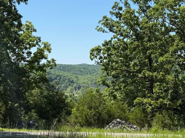 535 Skyline Drive, Forsyth, MO 65653