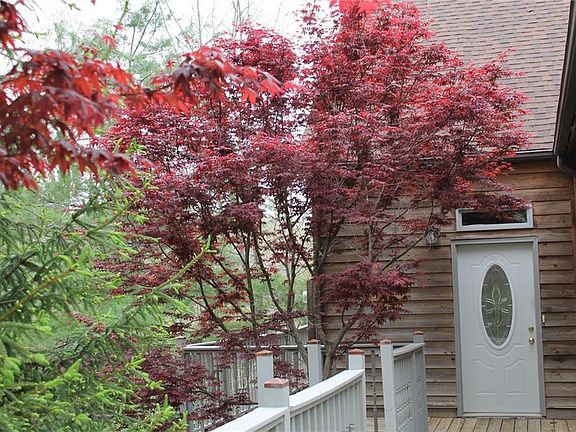 3rd image of 159 Wychwood Dr