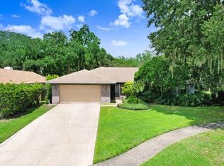 1112 Riflecrest Ave, Valrico, FL 33594