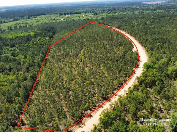 1045 McQueen Rd, Patrick, SC 29584