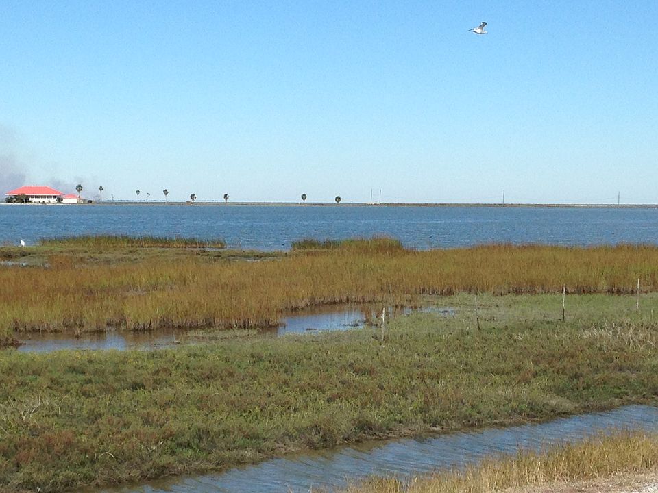 Copano Bay View