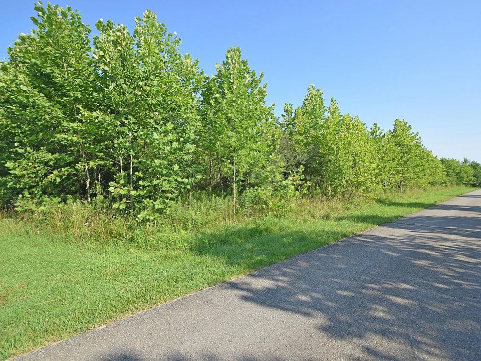 2nd image of 2613 Deer Run Dr