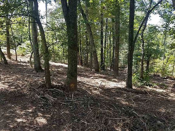 4th image of 0 Eleanor Dr SW Lot 9