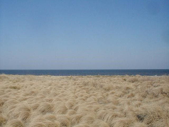 2nd image of 40273 Beachcomber Dr Lot 144