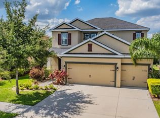 33181 Shadow Branch Ln, Wesley Chapel, FL 33545