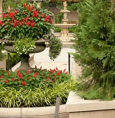 Rented by McDonagh Real Estate | media 25