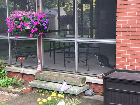 2nd image of 1100 S 2nd Ave
