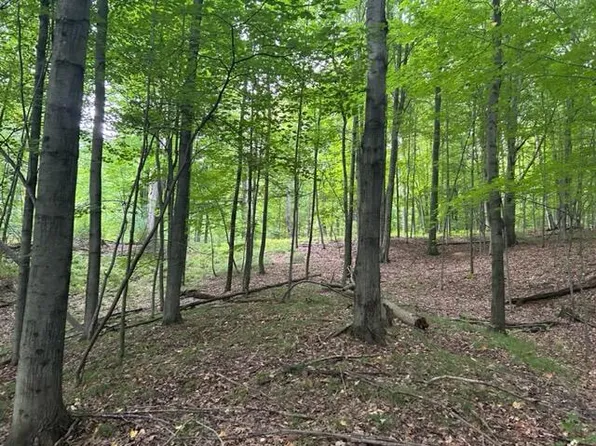 1021 Pueblo Pass, Lake Isabella, MI 48893