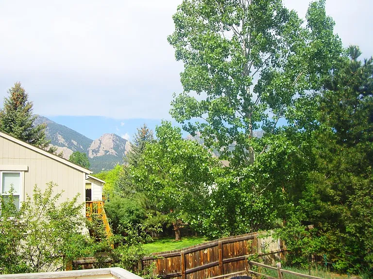 3801 Silver Plume Cir — Photo 2