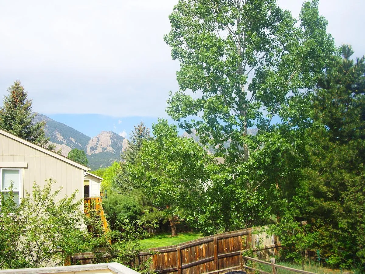 Building Photo - 3801 Silver Plume Cir