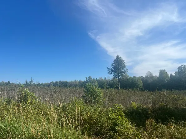 Forsberg Little Finland, Iron River, MI 49935