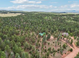 167 Rainier Dr, Florissant, CO 80816