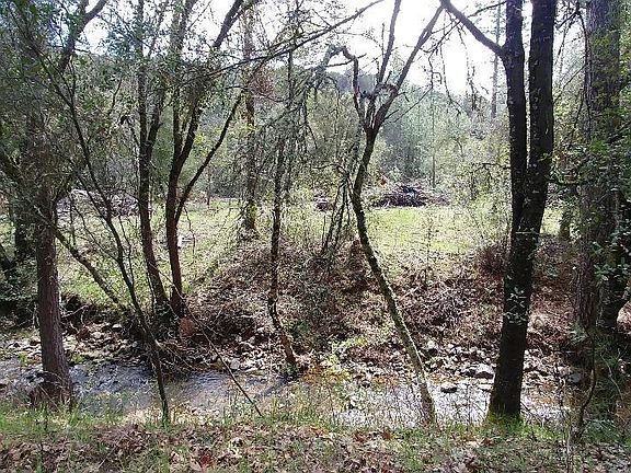 4th image of 10.3 Acres Columbia College