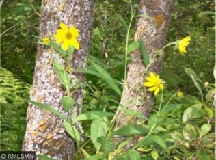 2 B 1 206th NW #L, Cedar, MN 55011