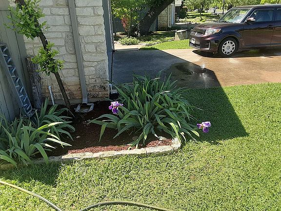 north side front yard