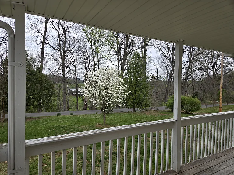 Davy Crockett Rd — Photo 38