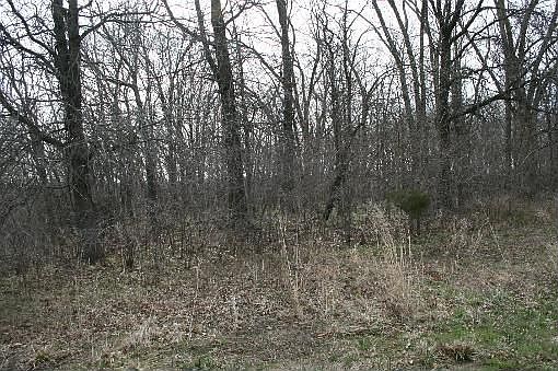 3rd image of 14414 Cr 361